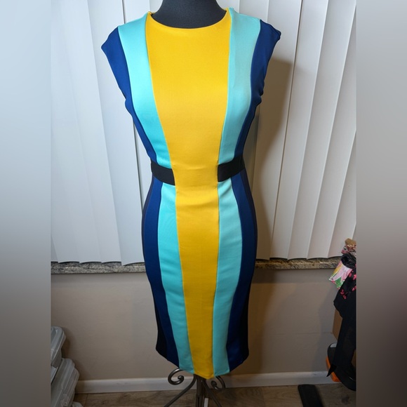 New York & Company Dresses & Skirts - Eva Mendes New York & Company Colorblock Bodycon Dress Size XS